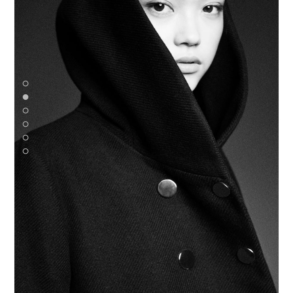 Zara wool blend coat with wrap collar